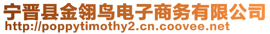 寧晉縣金翎鳥電子商務(wù)有限公司