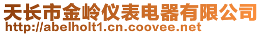 天長市金嶺儀表電器有限公司