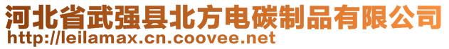 河北省武强县北方电碳制品有限公司