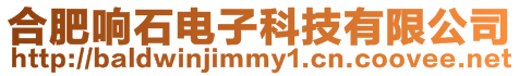 合肥響石電子科技有限公司