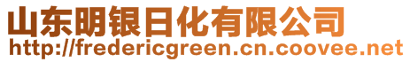 山東明銀日化有限公司