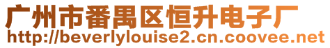 廣州市番禺區恒升電子廠