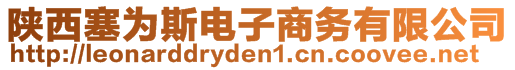 陜西塞為斯電子商務(wù)有限公司