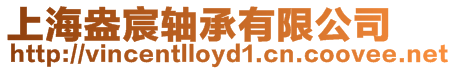 上海盎宸軸承有限公司
