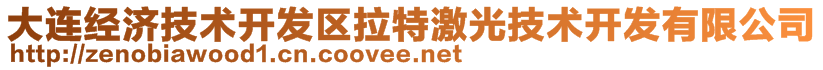 大连经济技术开发区拉特激光技术开发有限公司