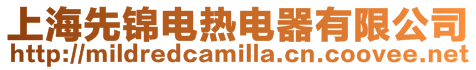 上海先錦電熱電器有限公司