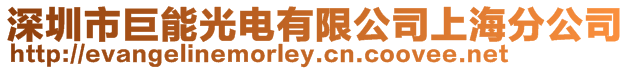 深圳市巨能光電有限公司上海分公司