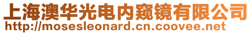 上海澳华光电内窥镜有限公司