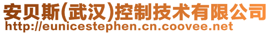 安贝斯(武汉)控制技术有限公司