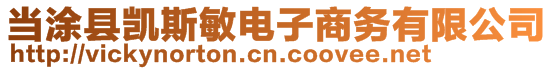 當(dāng)涂縣凱斯敏電子商務(wù)有限公司