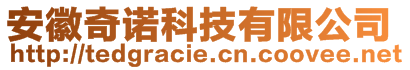 安徽奇諾科技有限公司