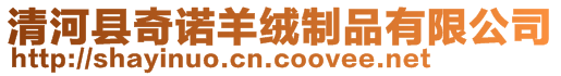 清河縣奇諾羊絨制品有限公司