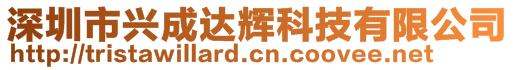 深圳市興成達輝科技有限公司