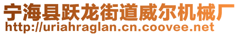 寧海縣躍龍街道威爾機械廠