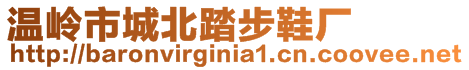 溫嶺市城北踏步鞋廠