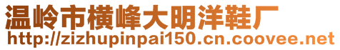 溫嶺市橫峰大明洋鞋廠