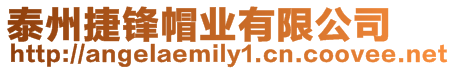 泰州捷鋒帽業有限公司