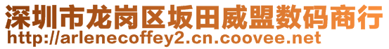 深圳市龍崗區(qū)坂田威盟數(shù)碼商行