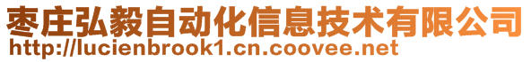 枣庄弘毅自动化信息技术有限公司