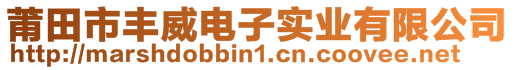 莆田市豐威電子實(shí)業(yè)有限公司