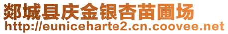 郯城縣慶金銀杏苗圃場