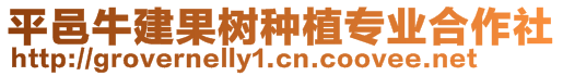 平邑牛建果樹種植專業(yè)合作社