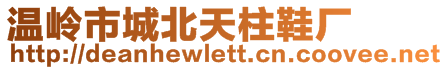 溫嶺市城北天柱鞋廠