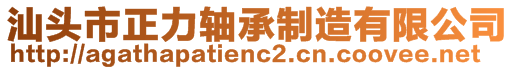 汕头市正力轴承制造有限公司