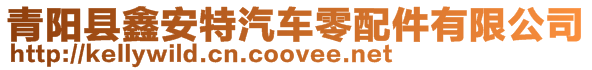 青陽縣鑫安特汽車零配件有限公司