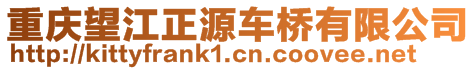 重慶望江正源車橋有限公司