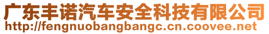 廣東豐諾汽車安全科技有限公司