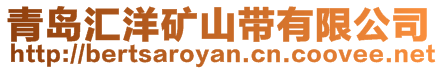 青島匯洋礦山帶有限公司