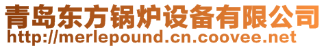 青島東方鍋爐設備有限公司