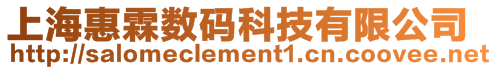 上海惠霖數碼科技有限公司