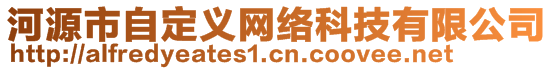 河源市自定义网络科技有限公司