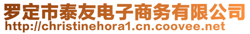 羅定市泰友電子商務(wù)有限公司