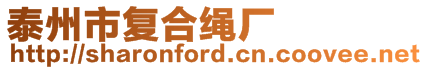 泰州市復(fù)合繩廠