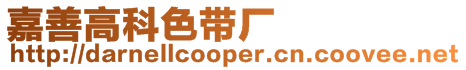 嘉善高科色帶廠