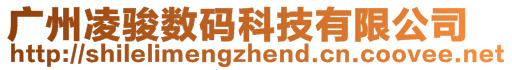 廣州凌駿數(shù)碼科技有限公司