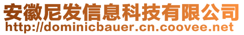 安徽尼發(fā)信息科技有限公司