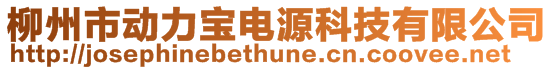 柳州市動力寶電源科技有限公司