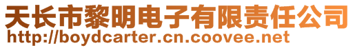 天長市黎明電子有限責任公司