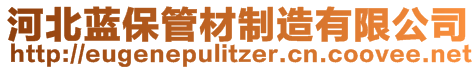 河北蓝保管材制造有限公司