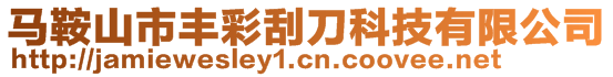 馬鞍山市豐彩刮刀科技有限公司