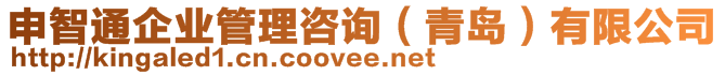 申智通企業(yè)管理咨詢（青島）有限公司