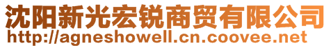 沈阳新光宏锐商贸有限公司