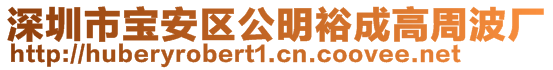 深圳市寶安區(qū)公明裕成高周波廠
