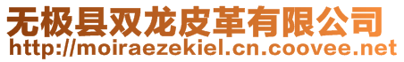 無極縣雙龍皮革有限公司