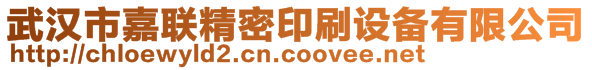 武漢市嘉聯(lián)精密印刷設備有限公司