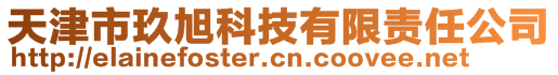 天津市玖旭科技有限责任公司